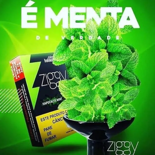 Ziggy - Hapocalyx mint