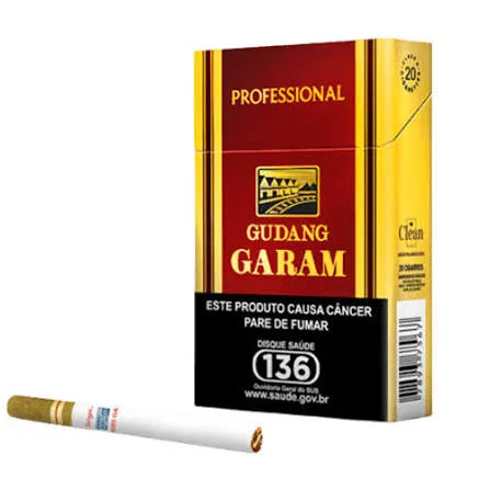 Cigarro Gudang Garam Professional (Cravo) 20un