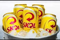 Balde Skol C/10 269ml